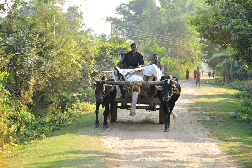 local-means-of-transport-at-chitwan-image-buddha-air