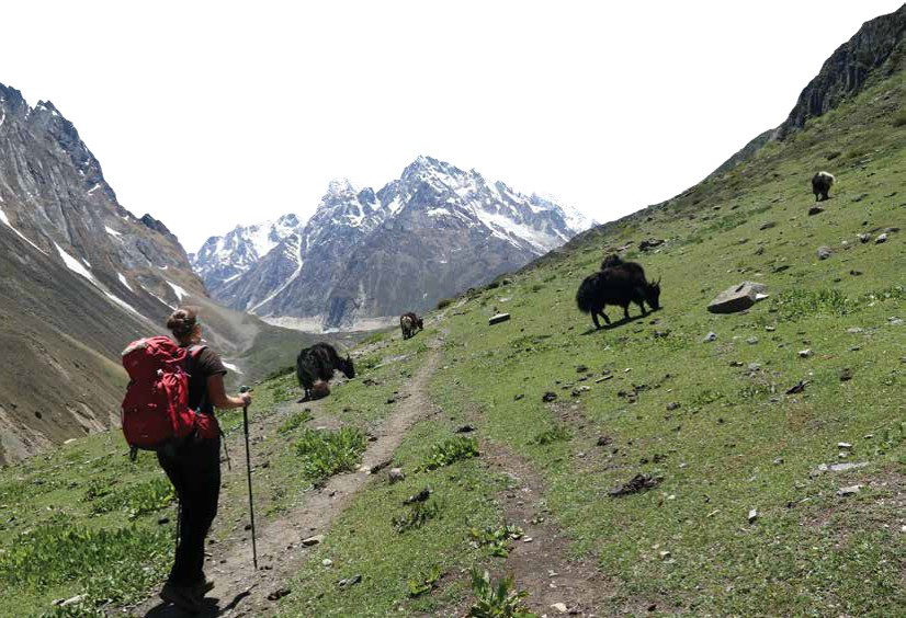 Trekking in Nepal