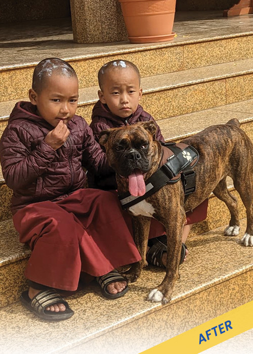 Aani After- Animal Nepal | Buddha Air Inflight magazine Yatra