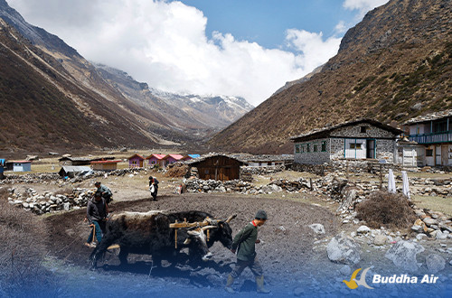 Farming in Himalayas.