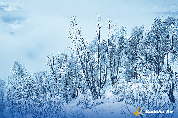 Dhani Danda Trek in Winter