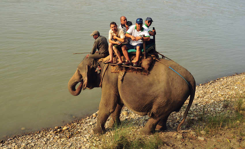 sauraha-elephant-ride image by buddha air yatra magazine