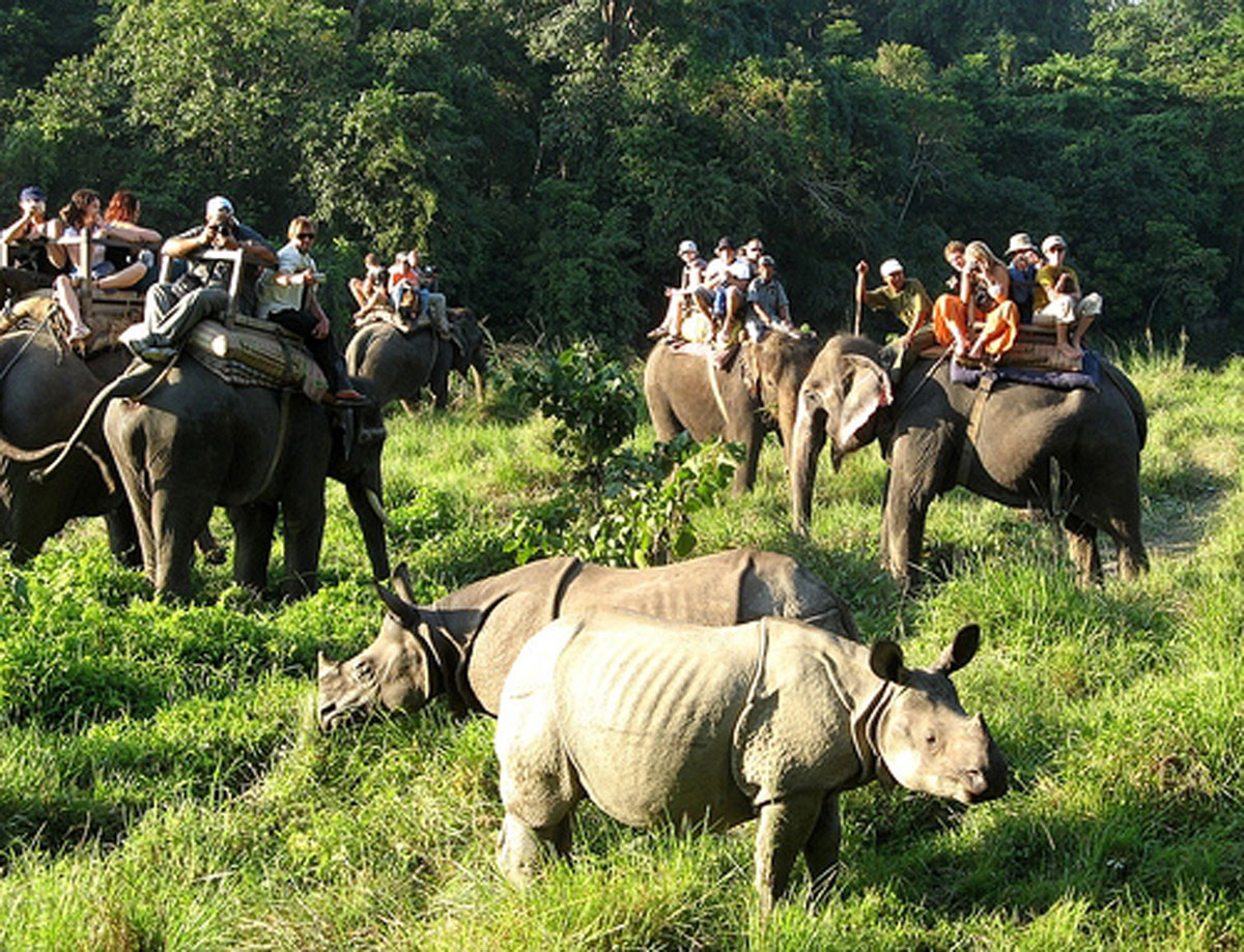 Jungle-Safari-at-Chitwan-National-Park