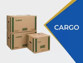 Domestic Cargo Services | Buddha Air
