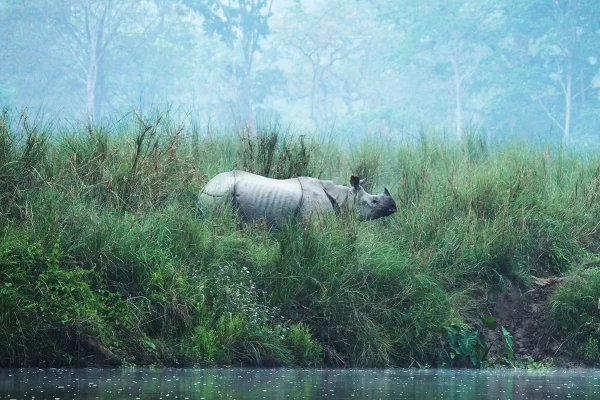 Best Things to Do in Chitwan and Neaby Places to Visit