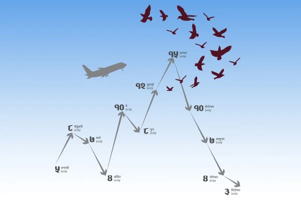 bird strike graph